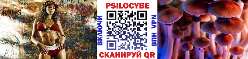 Галлюциногенные грибы GOLDEN TEACHER  Родники 